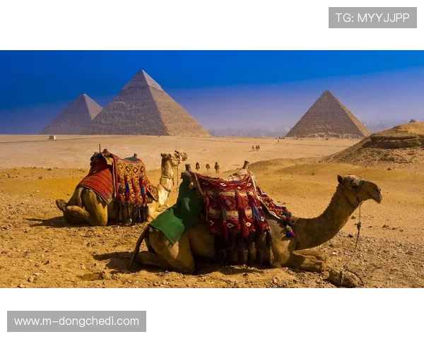 埃及金字塔队备战挑战者杯，将迎战美洲德比胜者